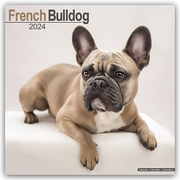French Bulldog - Französische Bulldoggen 2024 - Cover