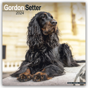 Gordon Setter 2024 - 16-Monatskalender