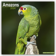 Amazons - Amazonenpapageien 2024 - 16-Monatskalender