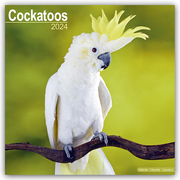 Cockatoos - Kakadus 2024 - 16-Monatskalender