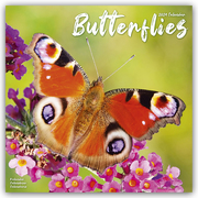Butterflies - Schmetterlinge 2024 - 16-Monatskalender