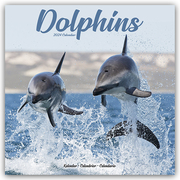 Dolphins - Delfine - Delphine 2024 - 16-Monatskalender