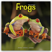 Frogs - Frösche 2024 - 16-Monatskalender - Cover