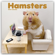 Hamsters - Hamster 2024 - 16-Monatskalender - Cover