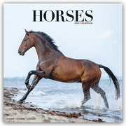 Horses - Pferde 2024 - 16-Monatskalender
