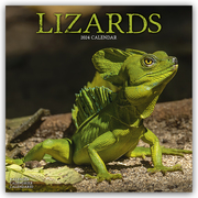 Lizards - Eidechsen 2024 - 16-Monatskalender