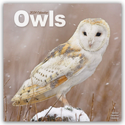 Owls - Eulen 2024 - 16-Monatskalender