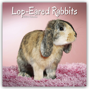 Lop-eared Rabbits - Widderkaninchen 2024 - 16-Monatskalender