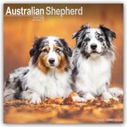 Australian Shepherd - Australische Schäferhunde 2025 - 16-Monatskalender