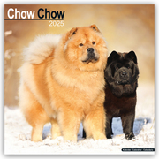 Chow Chow 2025 - 16-Monatskalender