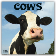 Cows - Kühe 2025 - 16-Monatskalender