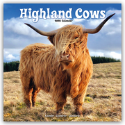 Higland Cows - Hochland Rinder 2025 - 16-Monatskalender