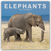 Elephants - Elefanten 2025 - 16-Monatskalender
