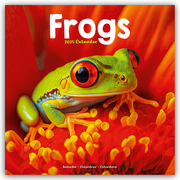 Frogs - Frösche 2025 - 16-Monatskalender