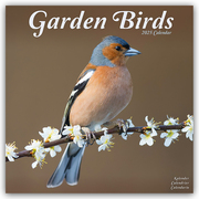 Garden Birds - Gartenvögel 2025 - 16-Monatskalender