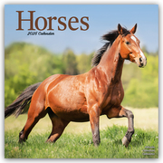 Horses - Pferde 2025 - 16-Monatskalender