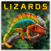 Lizards - Eidechsen 2025 - 16-Monatskalender