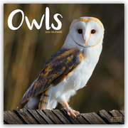 Owls - Eulen 2025 - 16-Monatskalender