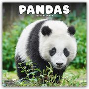 Pandas - Pandabären 2025 - 16-Monatskalender