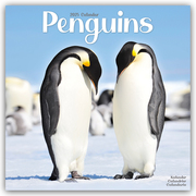 Penguins - Pinguine 2025 - 16-Monatskalender