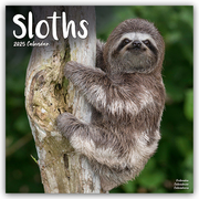 Sloths - Faultiere 2025 - 16-Monatskalender
