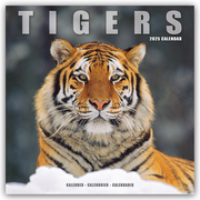 Tigers - Tiger 2025 - 16-Monatskalender