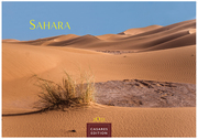 Sahara 2025 S