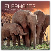 Elephants - Elefanten 2025 - 12-Monatskalender