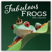 Fabulous Frogs - Fabelhafte Frösche 2025 - 16-Monatskalender