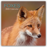 Foxes - Füchse 2025 - 12-Monatskalender