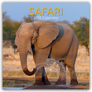 Safari 2025 - 16-Monatskalender
