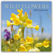 Wild Flowers - Wildblumen 2025 - 16-Monatskalender - Cover