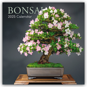 Bonsai - Bonsaibäume 2025 - 12-Monatskalender