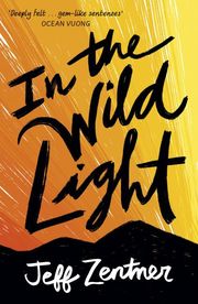 In the Wild Light - Cover
