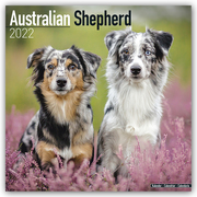 Australian Shepherd - Australische Schäferhunde 2022