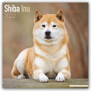 Shiba Inu 2022