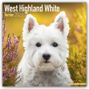 West Highland White Terrier - Westies 2022