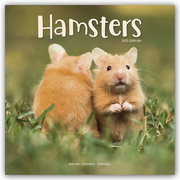 Hamsters - Hamster 2022