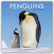 Penguins - Pinguine 2022