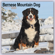 Bernese Mountain Dog - Berner Sennenhund 2023 - 16-Monatskalender