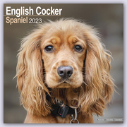 English Cocker Spaniel - Englische Cockerspaniels 2023
