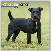 Patterdale Terrier 2023 - 16-Monatskalender