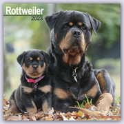Rottweiler - Rottweiler 2023 - 16-Monatskalender