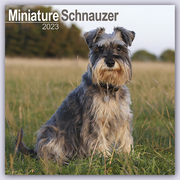 Miniature Schnauzer - Zwergschnauzer 2023