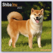 Shiba Inu 2023