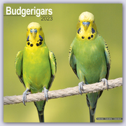 Budgerigars - Wellensittiche 2023 - 16-Monatskalender