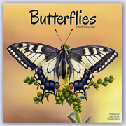 Butterflies - Schmetterlinge 2023 - 16-Monatskalender
