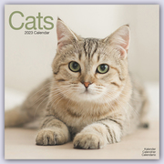 Cats - Katzen 202 - 16-Monatskalender