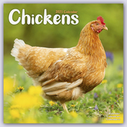 Chickens - Hühner 2023