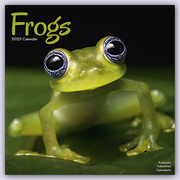 Frogs - Frösche 2023 - 16-Monatskalender